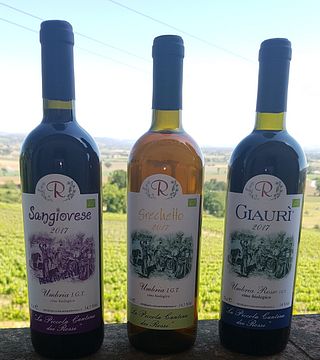 Umbria Bio-Natural Wine & Tasting at Piccola Cantina Rossi