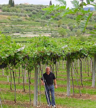 Premium-Weinprobe bei Castellani Michele & Figli