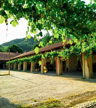 Degustazione vini "Le Vie Angarano"