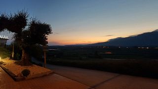 Dégustation de vins et visite des caves Luis Alegre