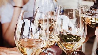 Cata de vinos y visita guiada en Et Cetera