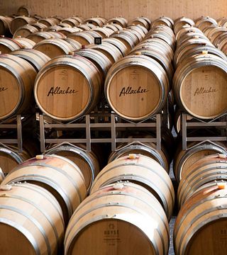 Allacher Vinum Pannonia