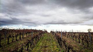 Agricola De Garriguella I Rabos