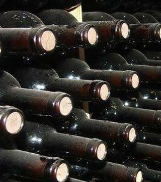 Bodega Del Nero
