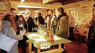 Cata de vinos y visita al Château Lamothe Despujols
