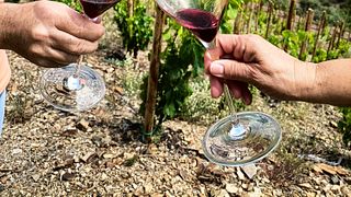 Dégustation de vins parmi les vignes de Tentiber