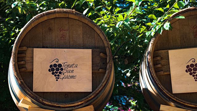 Cata de vinos y visita guiada en Tenuta San Giaime