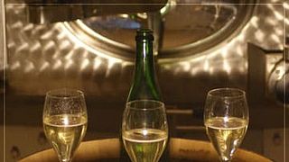 Cata y visita de champán en Champagne Pierre-Emmanuel Paquay