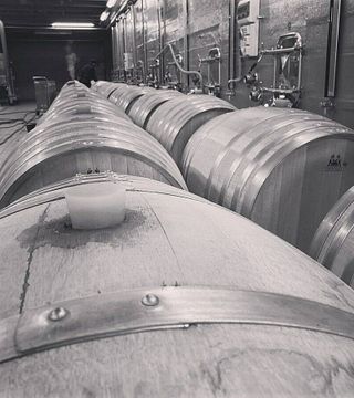 Degustação de vinhos e tour no Tandem