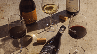 Essences of the Territory – A Tasting of Three Friuli Aquileia DOC Wines at Cantina Valpanera