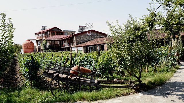 Vinprovning och rundtur på Twins Wine House i Napareuli