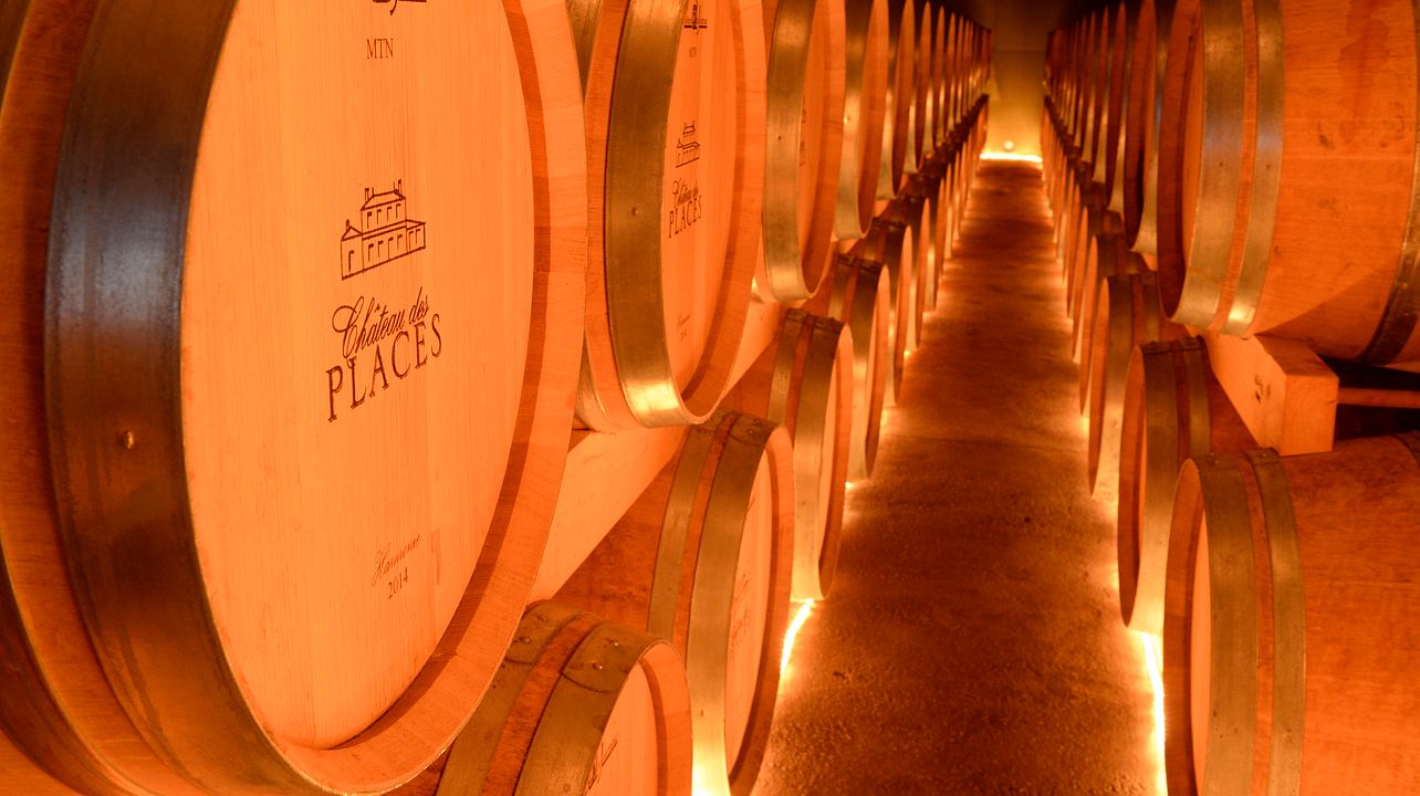 Tour segreto dell'enologo e degustazione di vini allo Château des Places