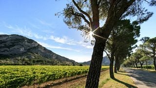 Domaine de La Vallongue