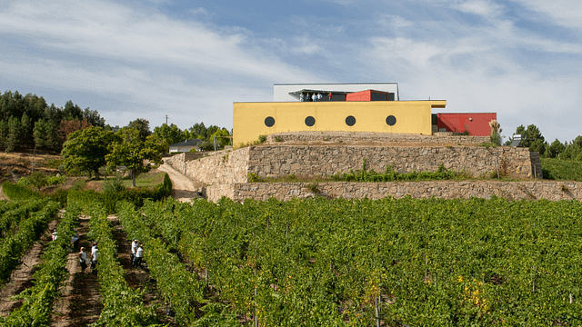 Prova de Vinhos Premium na Quinta de Santa Cristina