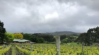 Ashton Hills Vineyards