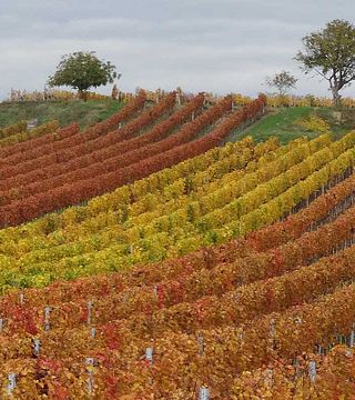 Weingut Umathum