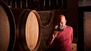 As emoções da Vigna 800: Degustação de vinhos no coração da Valpolicella Classica