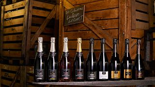 Degustação de champanhe Laurent Lequart Champagnes