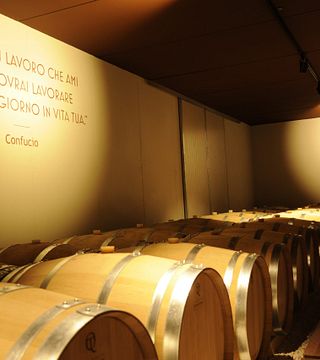 Cata de vinos y visita guiada en Paolo Cottini