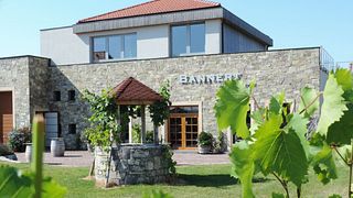 Vinprovning och rundtur på Weingut Bannert