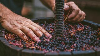 Degustazione di vini e visita alle Bodegas Lavia