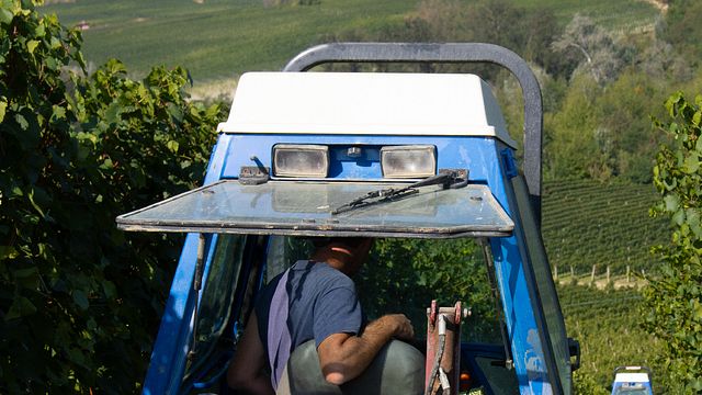 Batasiolo Winery