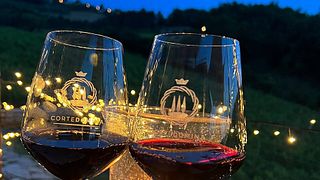 Weinproben und Besichtigung des Weinbergs