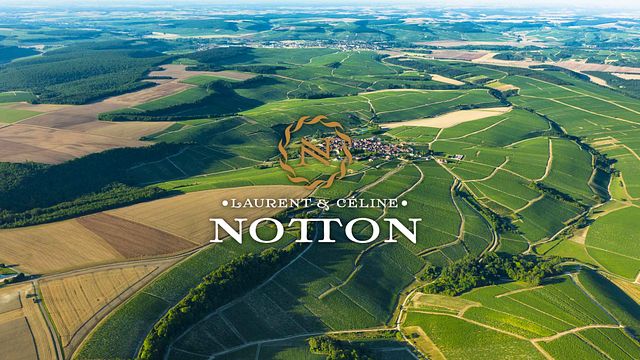 Una giornata di vino al Domaine Laurent et Céline Notton