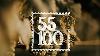 Dégustation de vins à Winnica 55-100