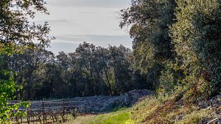 Château De Lascaux