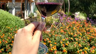 Degustazione esclusiva seduti presso le cantine Hagafen