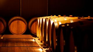 Cata de vinos y visita guiada en Paolo Cottini