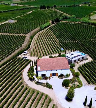 Picnic nei vigneti