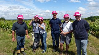 Cata de vinos y visita guiada en Domäne Vincendeau