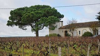 Château Lamothe Despujols