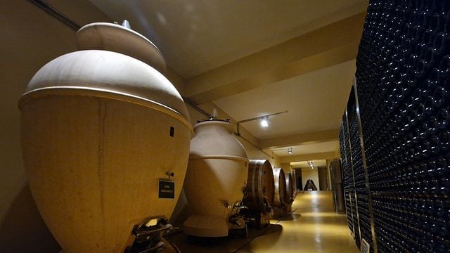 Cantina Colognola - Tenuta Musone