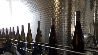 Weingut Schmidt - A Legacy of Winemaking Since 1753