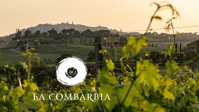 Degustazione di vini e tour a La Combarbia