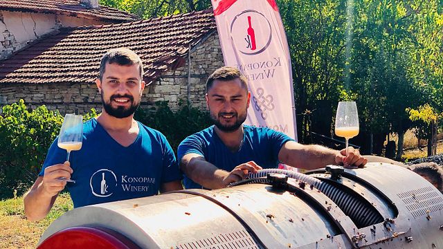 Dégustation de vins et visite de la cave Konopane