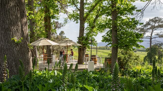 Elgin Vintners