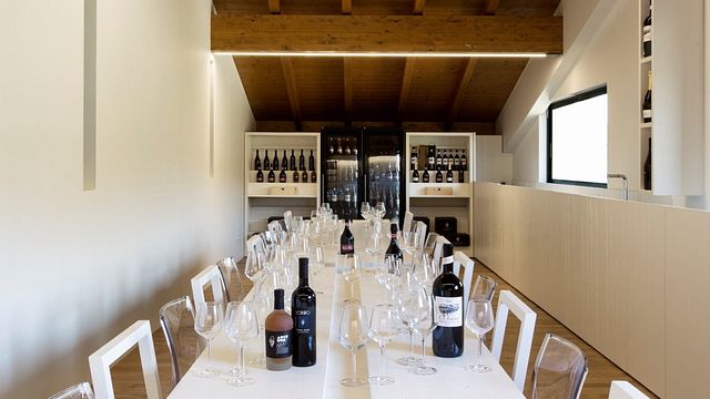 Wine Tasting and Tour at Illica Winery