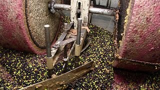 Experiência Supertuscana em Diadema