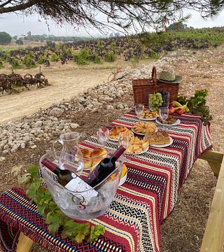 Vineyard Picnic & Tejo Wine Tasting at Sampayo