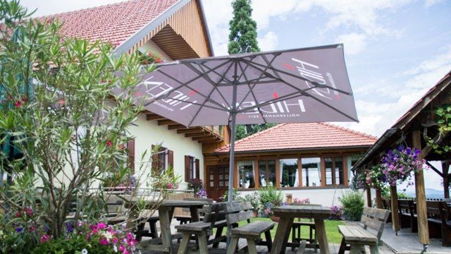 Vinprovning och rundtur på Weingut Hiden