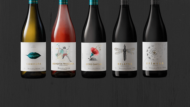 Degustazione di vini e visita alla Bodega Huellas del Tiétar