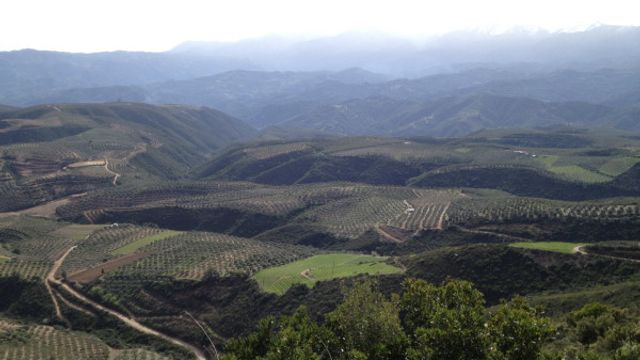 Privat exklusiv Manousakis Winery and Vineyard Tour