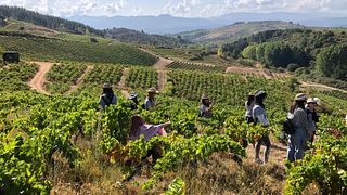 Degustazione di vini e visita alle Bodegas Estefania