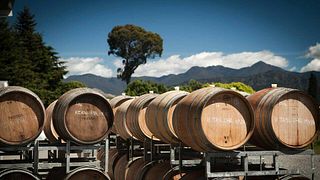 Mahi Winery