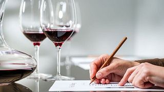 Weinprobe und Tour bei Du Toitskloof Wines