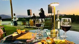 Tour della tradizione vinicola di Butrón Budinich